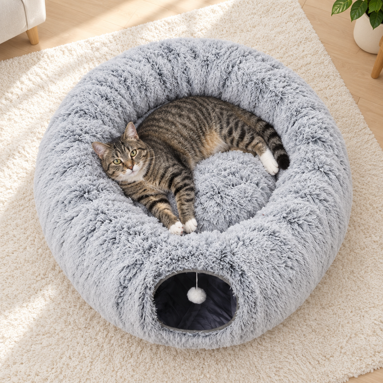 Top view: the center for curling up